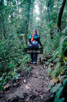 Runner Photo 5248256