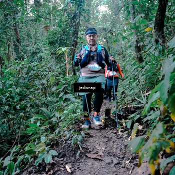 Runner Photo 5248279