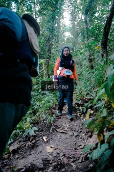 Runner Photo 5248293