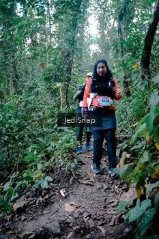Runner Photo 5248297
