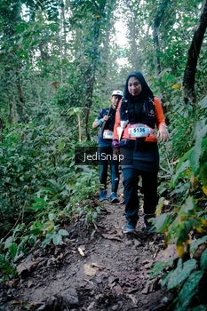 Runner Photo 5248301