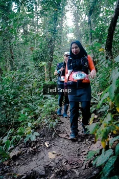 Runner Photo 5248302
