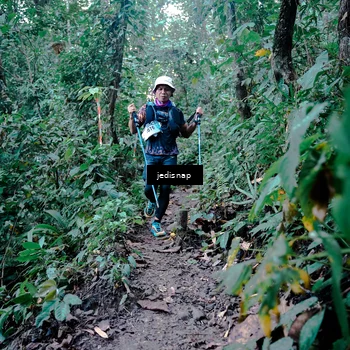 Runner Photo 5248427