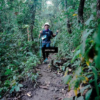 Runner Photo 5248429