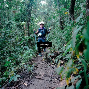 Runner Photo 5248431