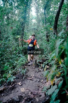 Runner Photo 5248448