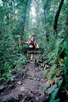 Runner Photo 5248451