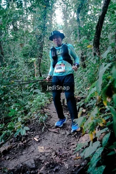 Runner Photo 5248511