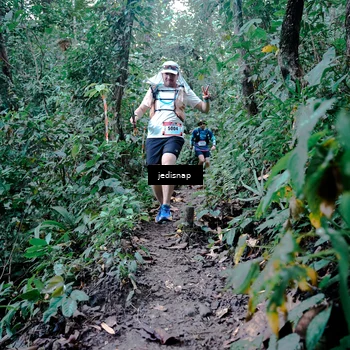 Runner Photo 5248546