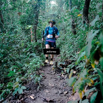 Runner Photo 5248566