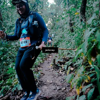 Runner Photo 5248666
