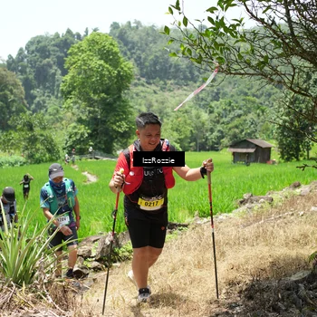 Runner Photo 5248717