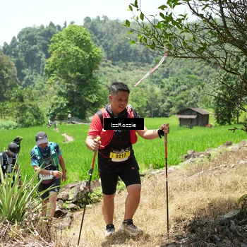 Runner Photo 5248719
