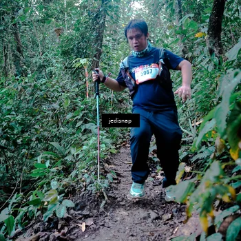 Runner Photo 5248737