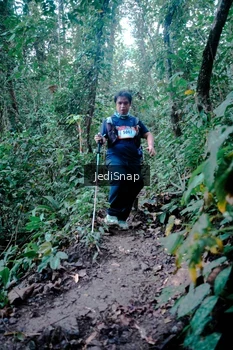 Runner Photo 5248746