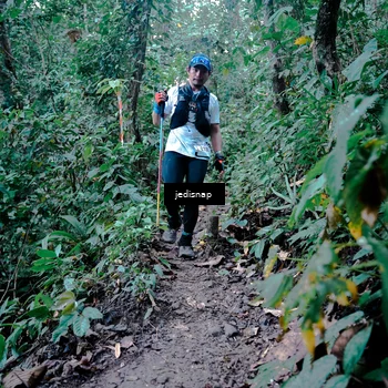 Runner Photo 5248767