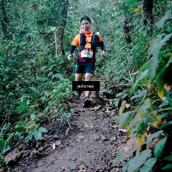 Runner Photo 5248783
