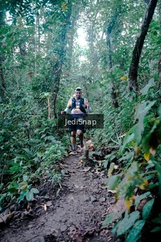 Runner Photo 5248847