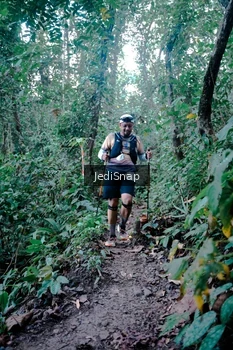 Runner Photo 5248856