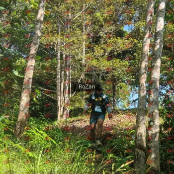 Runner Photo 5249