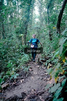 Runner Photo 5249042