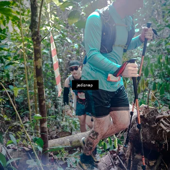 Runner Photo 5249185