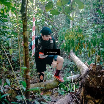 Runner Photo 5249246