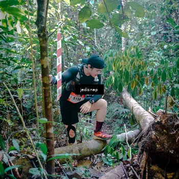 Runner Photo 5249247