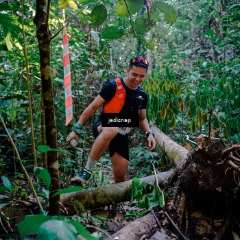 Runner Photo 5249316