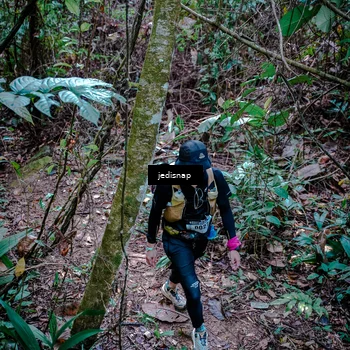 Runner Photo 5249327