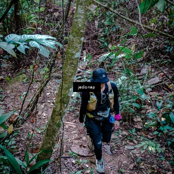 Runner Photo 5249330