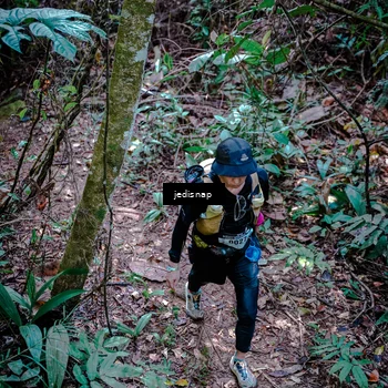 Runner Photo 5249333