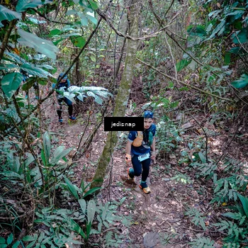 Runner Photo 5249337