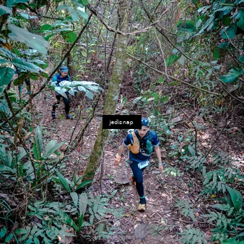 Runner Photo 5249339