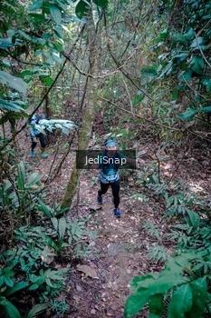 Runner Photo 5249361
