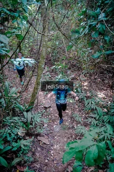 Runner Photo 5249365