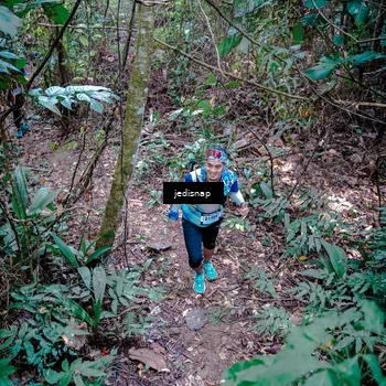 Runner Photo 5249371