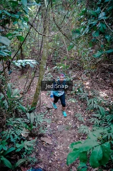 Runner Photo 5249377