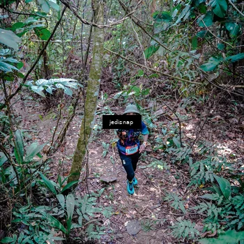 Runner Photo 5249380