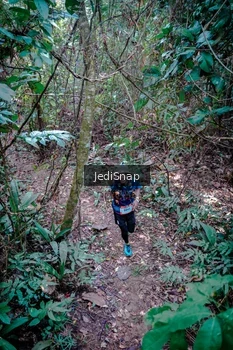 Runner Photo 5249382