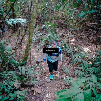Runner Photo 5249384