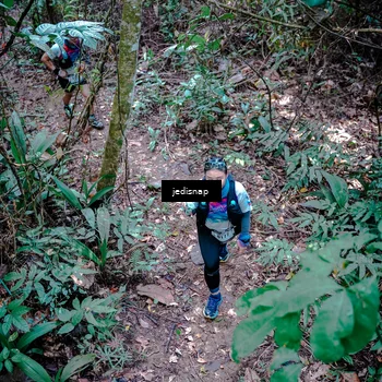 Runner Photo 5249391