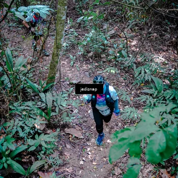 Runner Photo 5249395