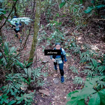 Runner Photo 5249398
