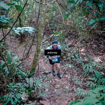 Runner Photo 5249401