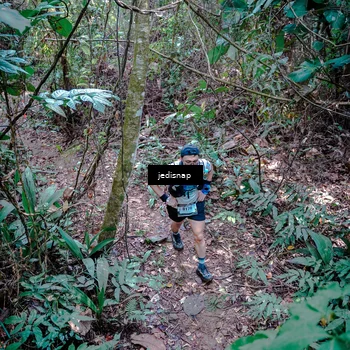 Runner Photo 5249403