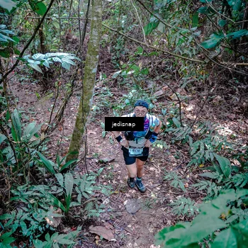 Runner Photo 5249405