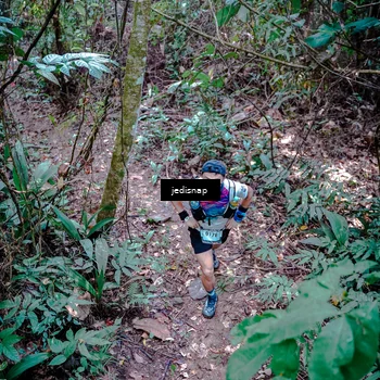 Runner Photo 5249407
