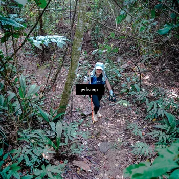 Runner Photo 5249409