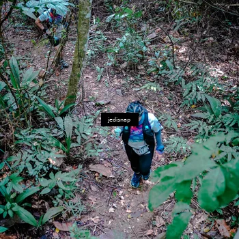 Runner Photo 5249410